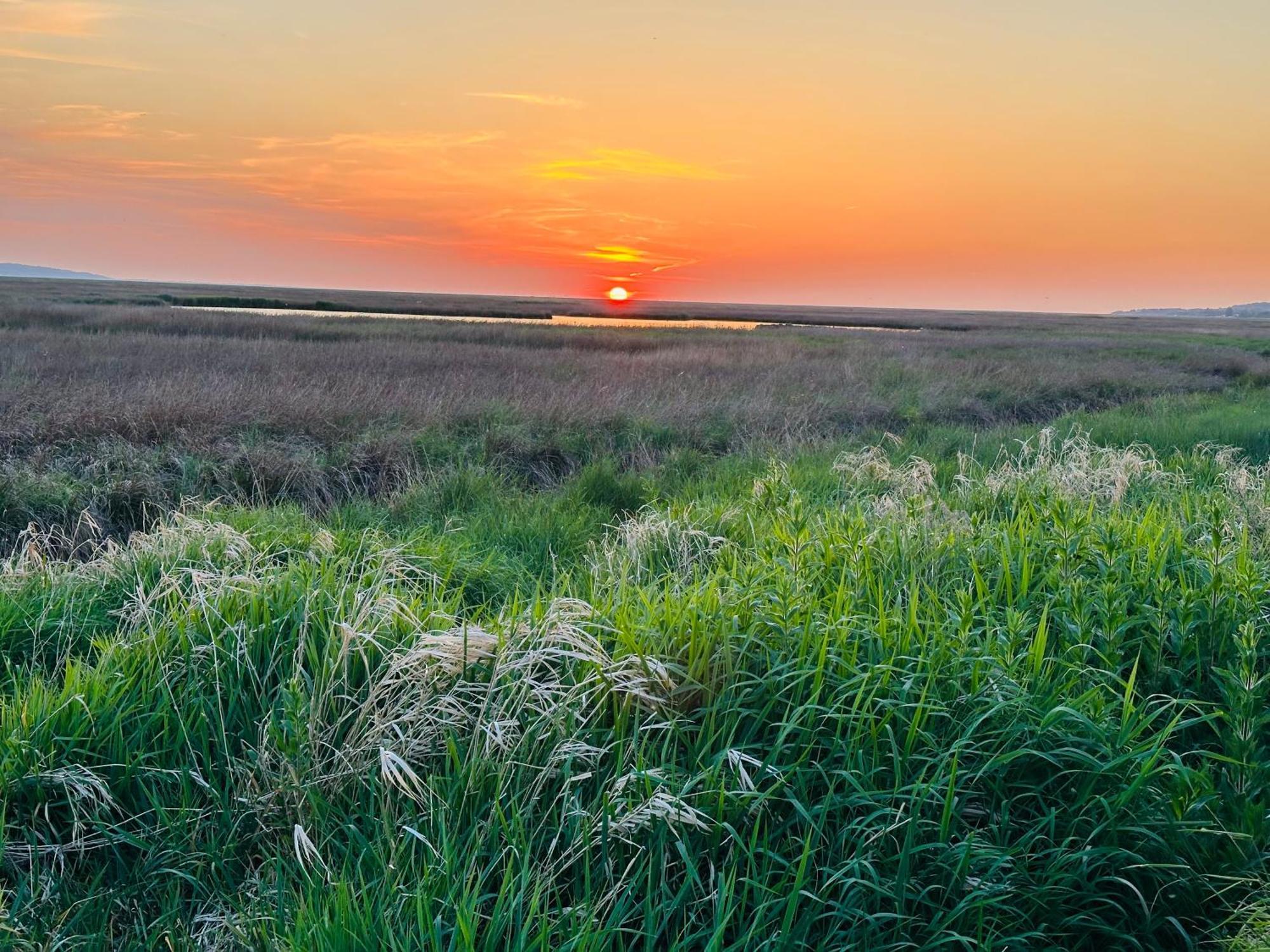 The Rambler'S Rest Cottage, Parkgate, Wirral Parkgate  Экстерьер фото